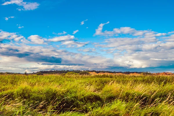 Campo com árvores em meio a belas nuvens de verão — Fotografia de Stock