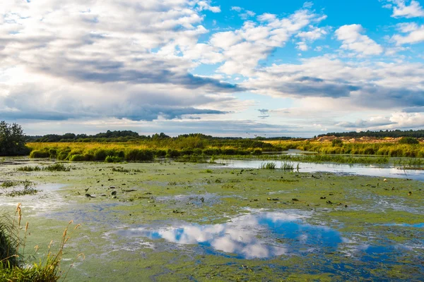 Lago com Tina dia de verão no fundo dos campos — Fotografia de Stock