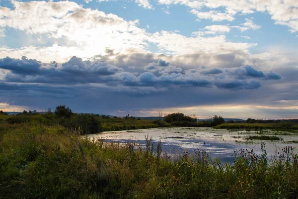 Jezioro z Tina letni dzień na tle pola — Zdjęcie stockowe