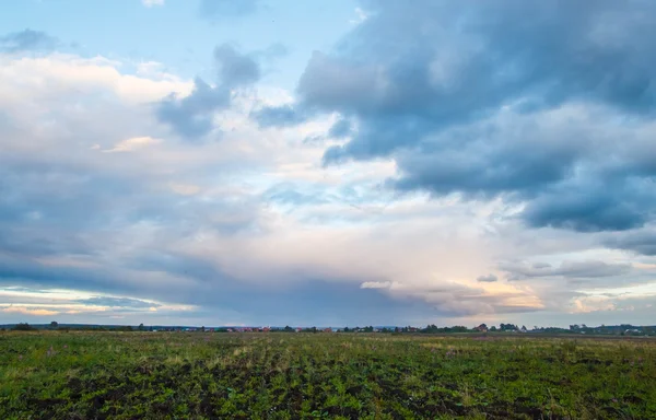 Campo com árvores em meio a belas nuvens de verão — Fotografia de Stock