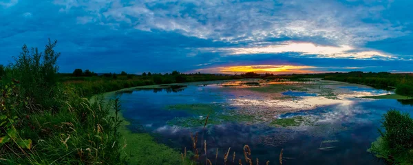 Panorama Lago con exudado día de verano en el fondo de los campos —  Fotos de Stock