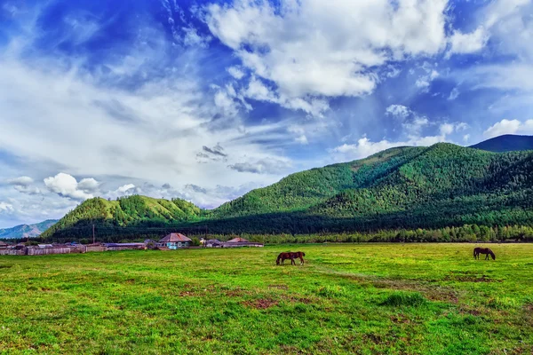 Dorf und Wiese in den Bergen Sommer-Altai — Stockfoto