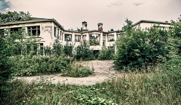 Panorama edifício abandonado coberto de grama e árvores — Fotografia de Stock