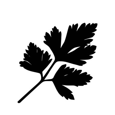 Beyaz yakınlaştırma vektör illüstrasyonunda izole edilmiş taze maydanoz simgesi