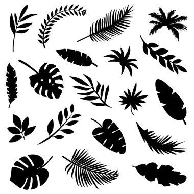 Şeffaf arka planda siyah tropikal yapraklar. Egzotik yapraklar ve dallar. Tasarım için vektör ögeleri