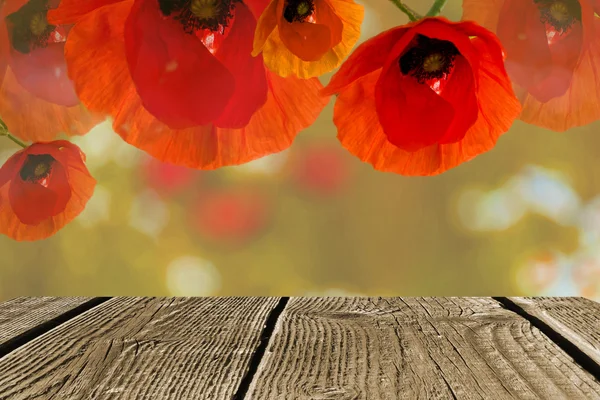 Wood textured backgrounds in a room interior on the field backgrounds poppies flowers — Stock Photo, Image