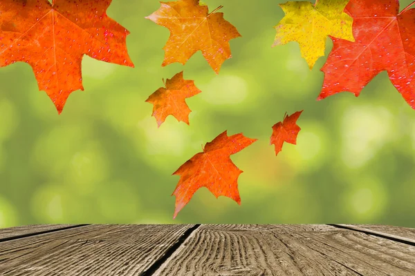 Autumn background — Stock Photo, Image