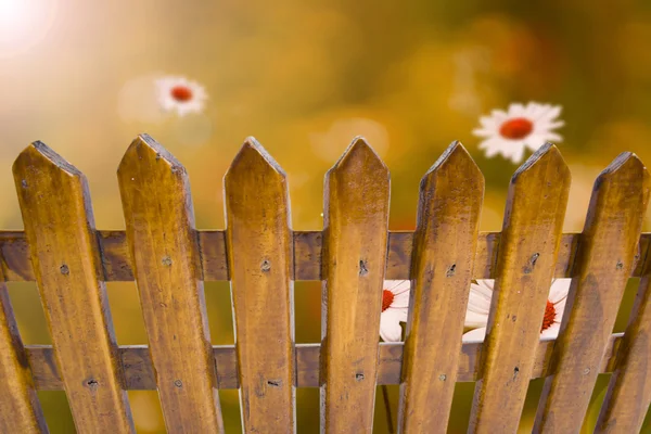 Wooden fence overlooking the autumn background — Stock Photo, Image
