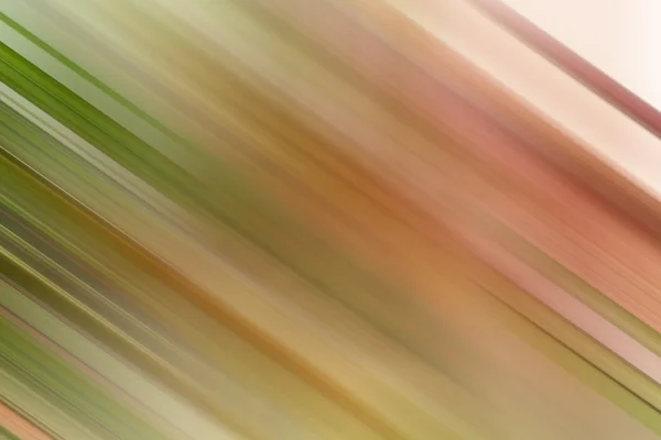 Πολύχρωμο abstract ιστορικό χρώμα blur με ουράνιο τόξο χρώματα φόντο grunge υφή σχεδιάγραμμα σχεδίου, διασκέδαση φόντο χαρούμενα, φωτεινά πίσω στο σχολείο φόντο, παιδιά τέχνη χρώμα φόντου χρώμα παιδιά — Φωτογραφία Αρχείου