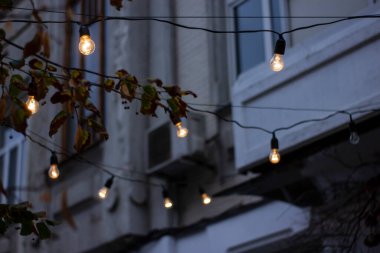 Aydınlatılmış eski tip ampuller gece vakti bir binanın ve yeşilliğin karanlık, bulanık arka planında asılı durur.