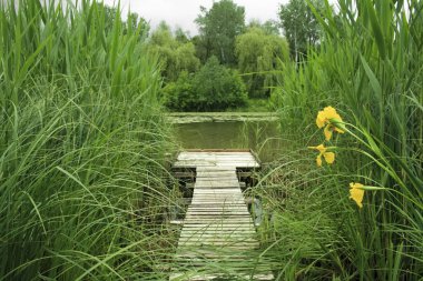 Nehir kıyısında tahta kaldırım
