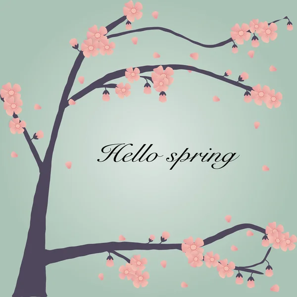 El fondo de flor de cerezo con hola palabra de primavera — Vector de stock