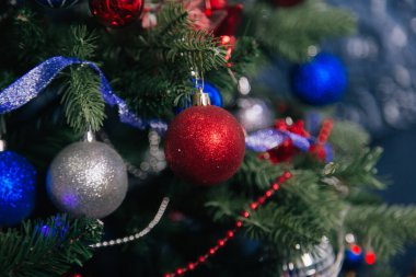 Kırmızı-mavi taşaklı Noel ağacı. Yeni yıl için kayıt.