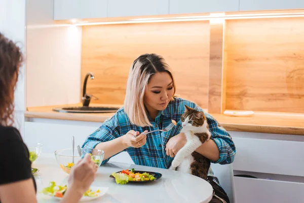 Chica Intenta Alimentar Gato Con Una Ensalada Vegetariana Gato Alimentado — Foto de Stock