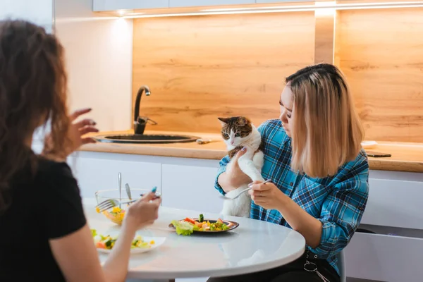 Chica Intenta Alimentar Gato Con Una Ensalada Vegetariana Gato Alimentado — Foto de Stock