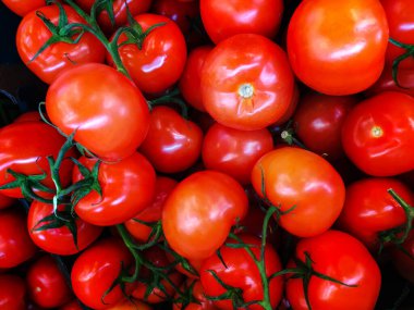 Çok taze domateslerin fotoğrafı sunuldu