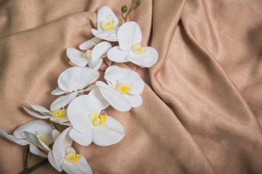 Bej kumaşlı beyaz orkide. Çiçek kumaşın üzerinde yatıyor.