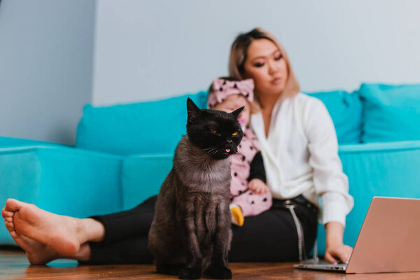 A dark British cat with big yellow eyes sits on the floor. Blurred background, A woman of Asian appearance holds a baby in her arms.