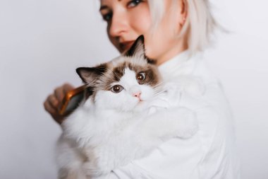 Beyaz önlüklü bir kız tüylü bir Regg Dol kedisi tutuyor. Veterenar hayvanı tarıyor. Hayvan bakımı