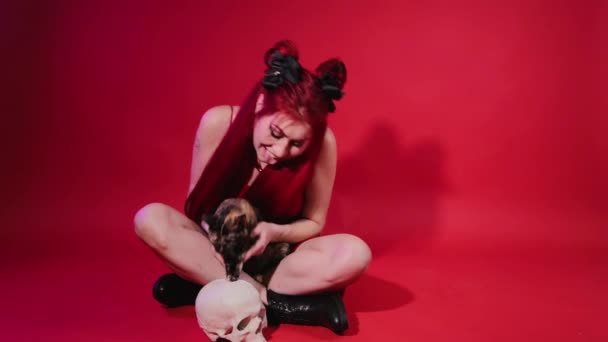 Молодая женщина неформальной внешности обнимает черепашью кошку. Девушка-рокер любит любить своего питомца. — стоковое видео