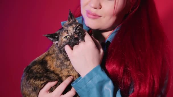 Μια νεαρή γυναίκα με ανεπίσημη εμφάνιση αγκαλιάζει μια γάτα tortoiseshell. Το κορίτσι rocker αγαπά να χαϊδεύει το κατοικίδιο ζώο της. — Αρχείο Βίντεο