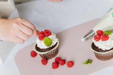 Bir kadın ahududu ve beyaz kremalı pasta hazırlar. Kadınların elleri bir kekin üzerine krema sürdü ve onu böğürtlenlerle süsledi. Ev yapımı tatlı..