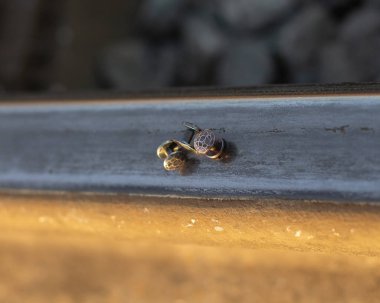 Demiryolunda el yapımı metal perçinler var..