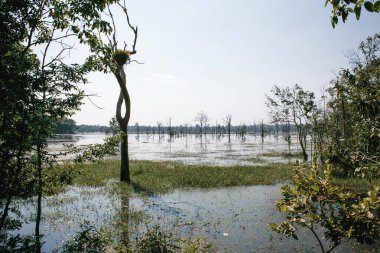 Kamboçya 'dan tapınak kompleksine git..
