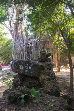 Kamboçya 'dan tapınak kompleksine git..