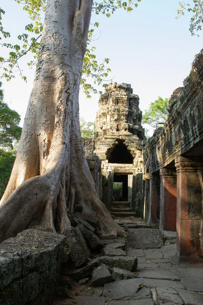 在柬埔寨寺庙大院内旅行 — 图库照片