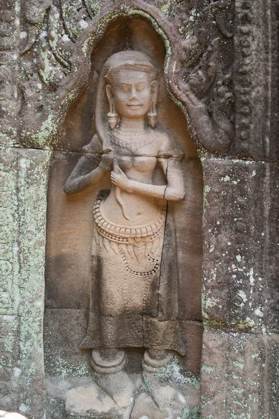 Reis Door Cambodja Bij Het Tempelcomplex — Stockfoto