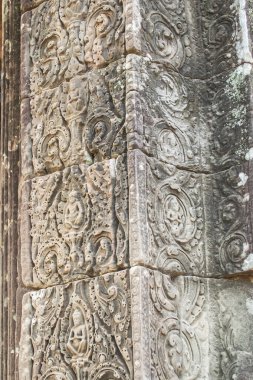 Kamboçya, Angkor Wat ormanında terk edilmiş bir şehir..