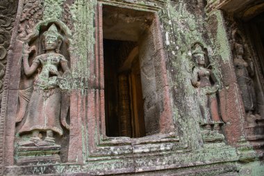 Kamboçya, Angkor Wat ormanında terk edilmiş bir şehir..