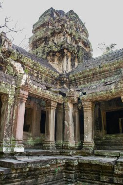 Kamboçya, Angkor Wat ormanında terk edilmiş bir şehir..