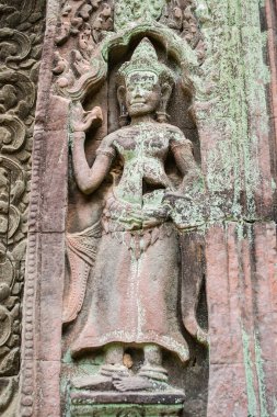 Kamboçya, Angkor Wat ormanında terk edilmiş bir şehir..