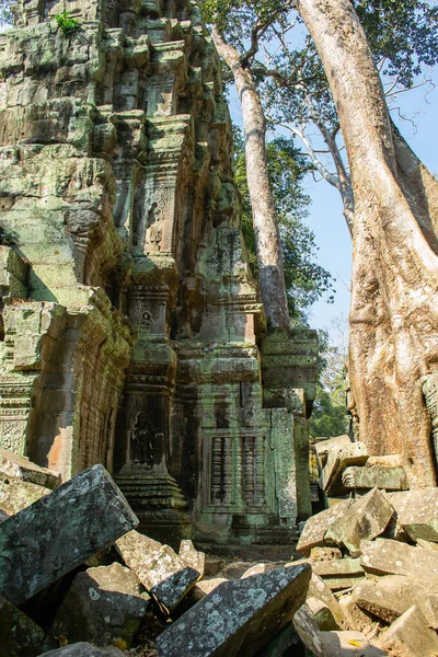 Kamboçya, Angkor Wat ormanında terk edilmiş bir şehir..
