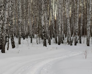 Ural doğa Chelyabinsk 'ten çok uzak değil.