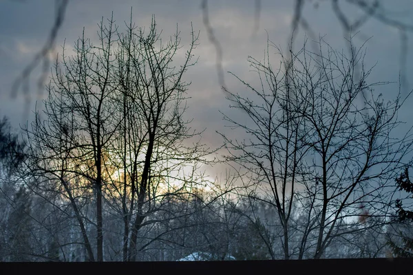 Ural doğa Chelyabinsk 'ten çok uzak değil.