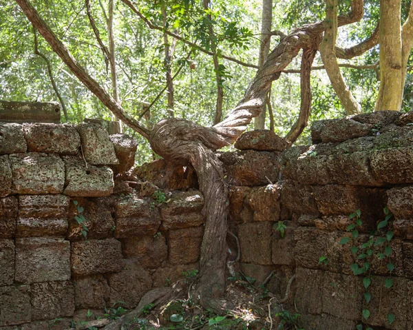 Kamboçya 'dan tapınak kompleksine git..