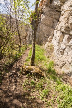 Dağlar, ormanlar, güney Uralların nehirleri..