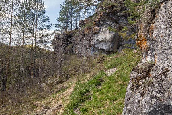 Dağlar, ormanlar, güney Uralların nehirleri..