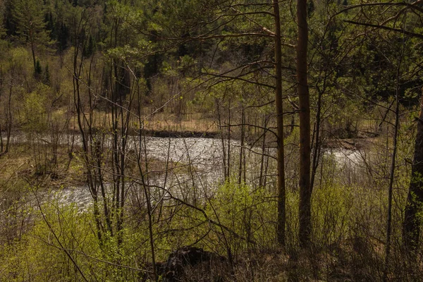 Montanhas Florestas Rios Dos Urais Sul — Fotografia de Stock