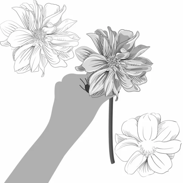 Illustration vectorielle d'une main avec une fleur. — Image vectorielle