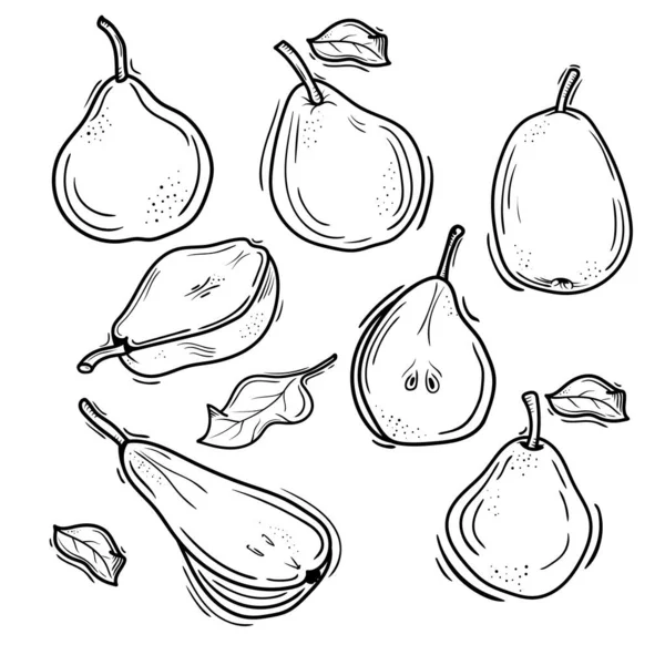 Ilustración Vectorial Peras Estilo Doodle Dibujo Contorno Diseño Fruta Pear — Vector de stock