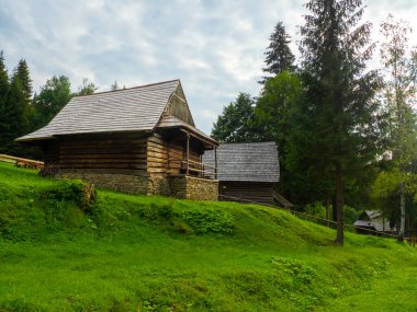 Slovakya 'da açık hava müzesinde şirin ahşap evler.
