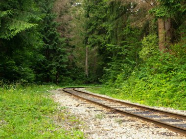 Doğadaki eski raylar.