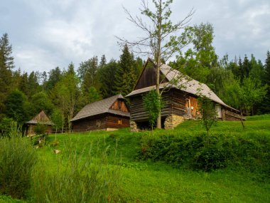 Ormandaki eski ahşap evler.