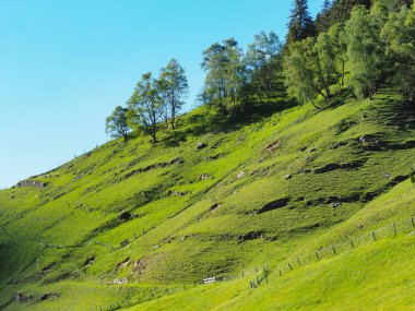 Doğada güzel güneşli bir gün.