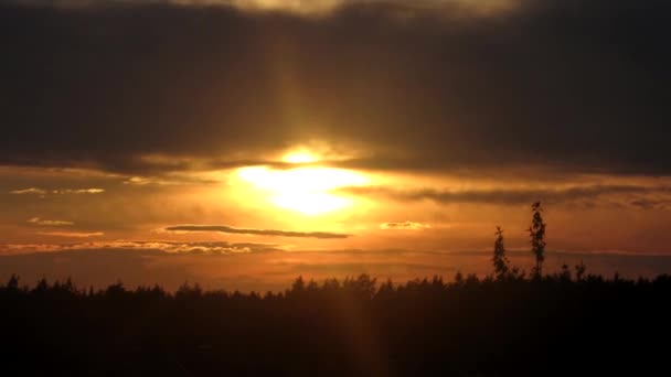 Захід сонця над лісом перекриває час — стокове відео
