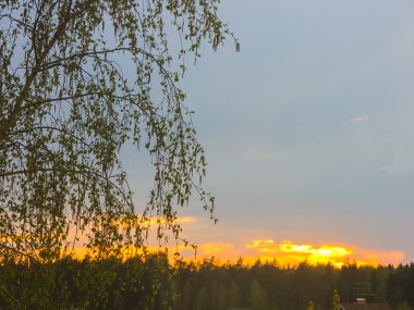 akşam günbatımı üzerinde orman